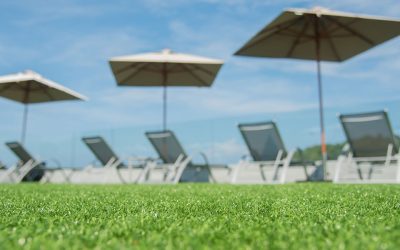 Gazon Artificiel Pour Les Espaces Commerciaux et Publics