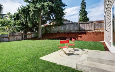 Services de Restauration de Gazon de Jardin