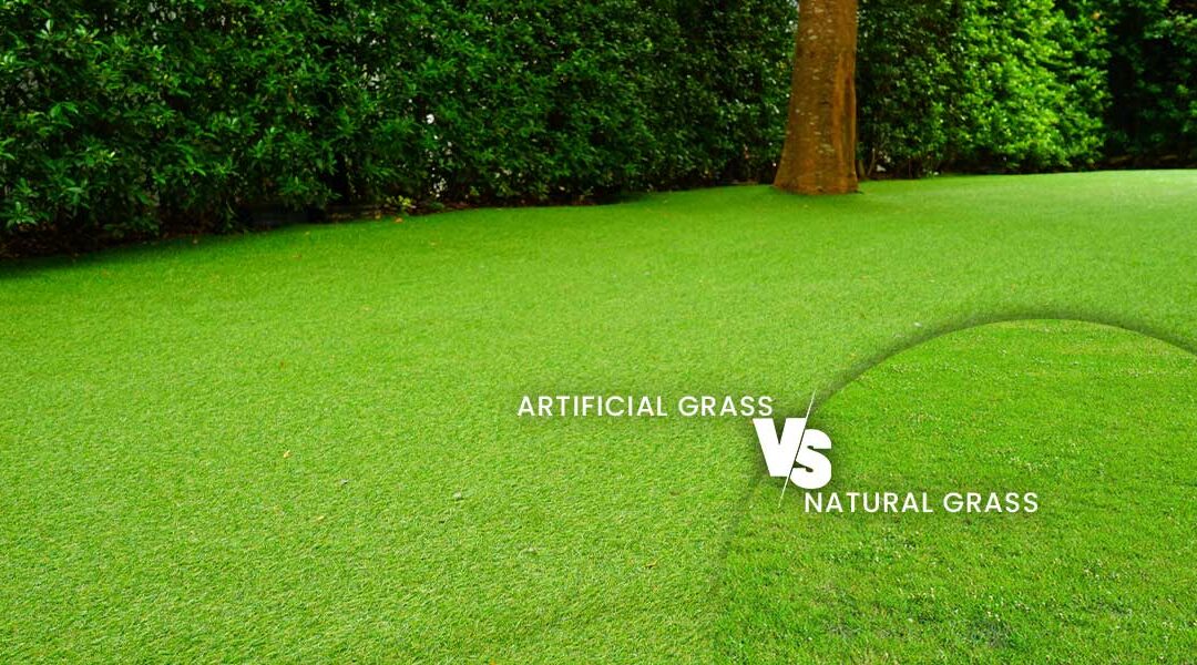Gazon Artificiel vs. Gazon Naturel