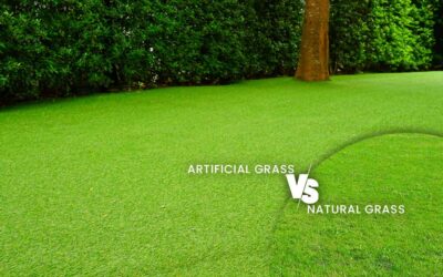 Gazon Artificiel vs. Gazon Naturel