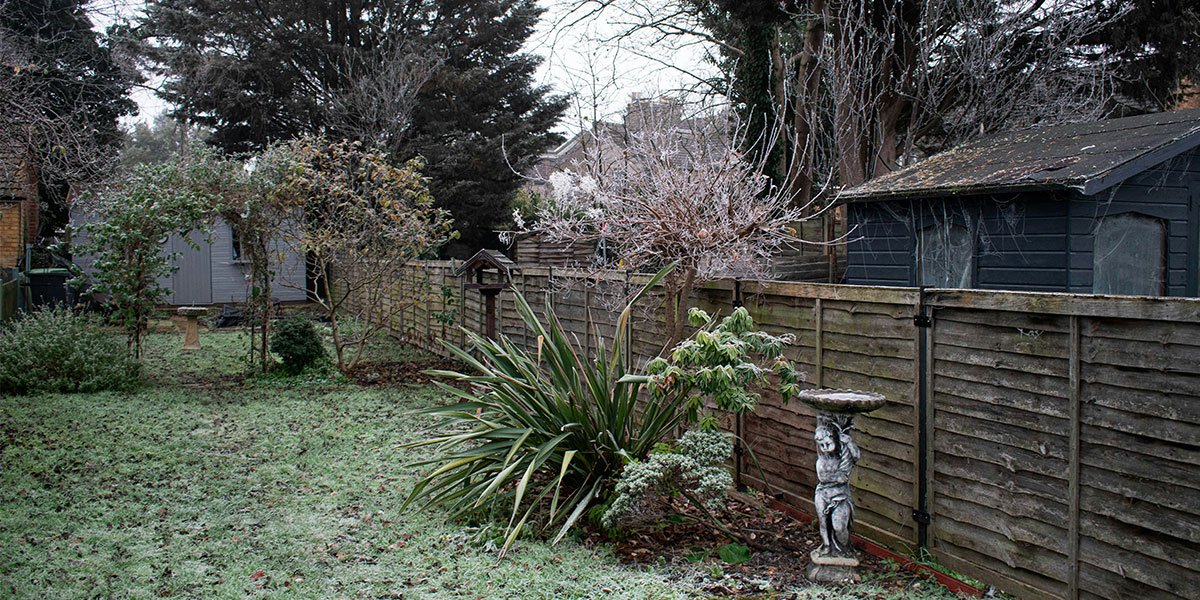 gazon artificiel pour jardin