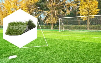 Systèmes de Gazon Hybride