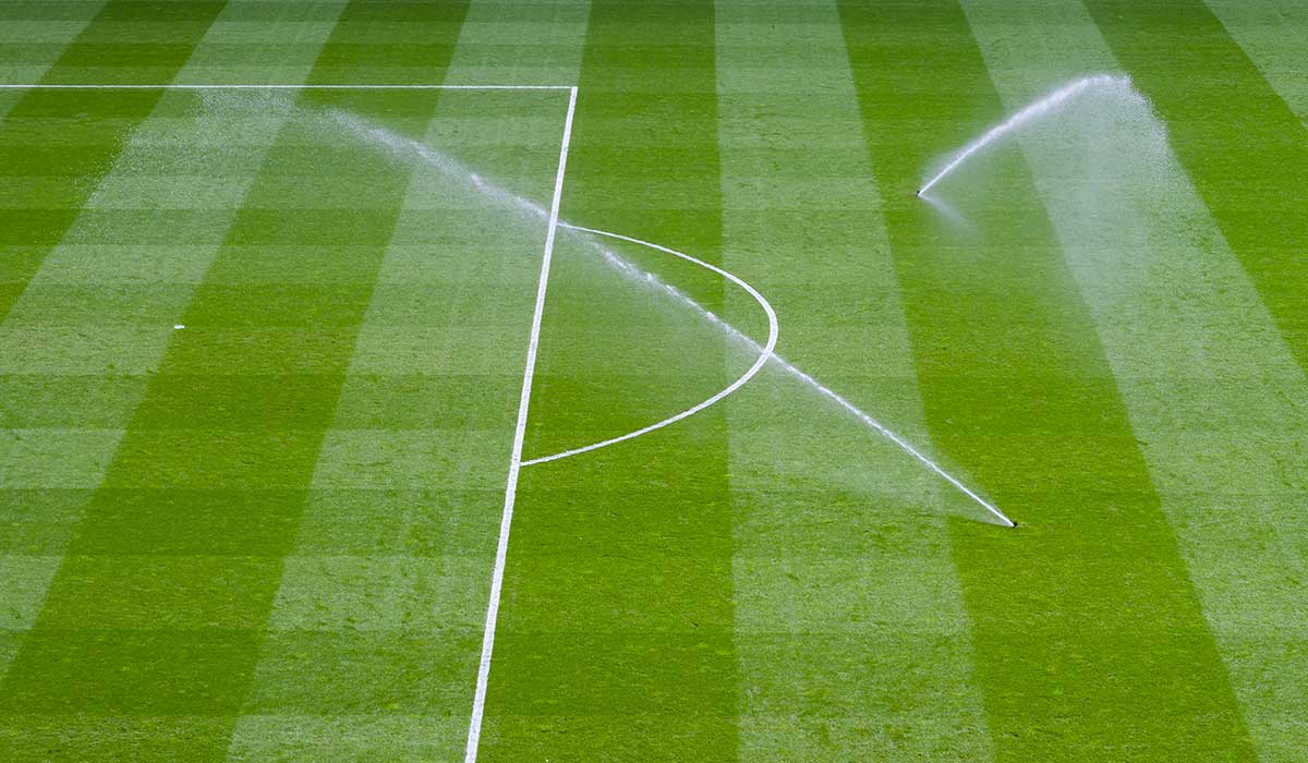 sistema de césped híbrido