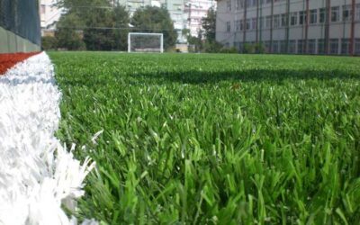 Pourquoi le Terrain de Football en Gazon Est-Il Important?