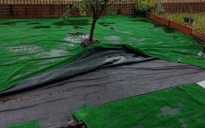 Produits de Gazon Synthétique Bon Marché, Sont Dommages à Santé et Budget!