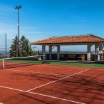 Caractéristiques des Terrains de Tennis en Gazon