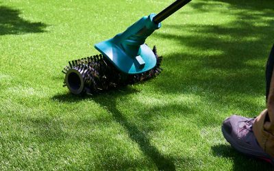 Comment L’entretien Et Le Nettoyage Du Gazon Artificiel Doivent-Ils Être Effectués ?