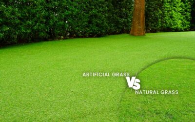 Gazon Artificiel vs. Gazon Naturel