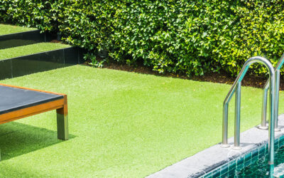 Gazon Décoratif pour l’Aménagement Paysager